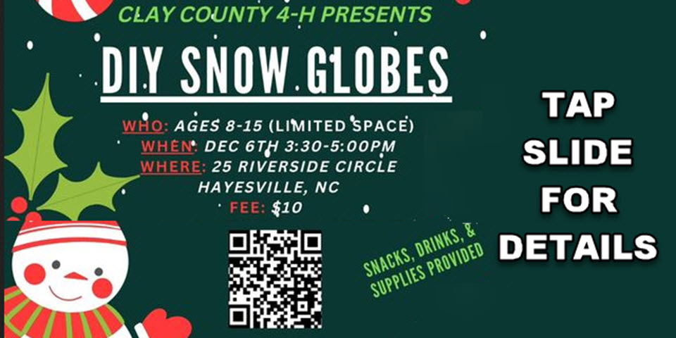 4H Presents DIY Snow Globes