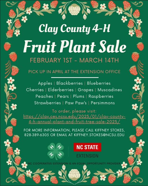 4H Friut Plant Sale