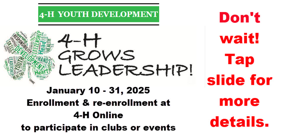 4H Club Sign Up's