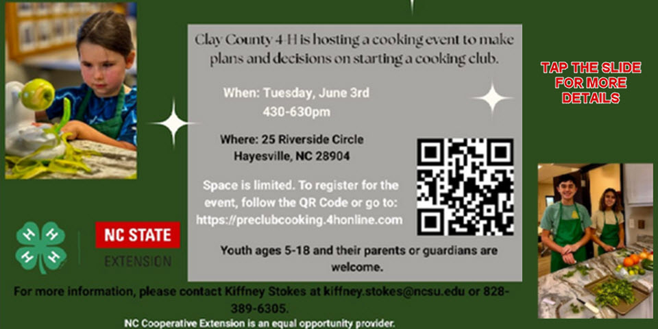4 H Starting a Cooking Club