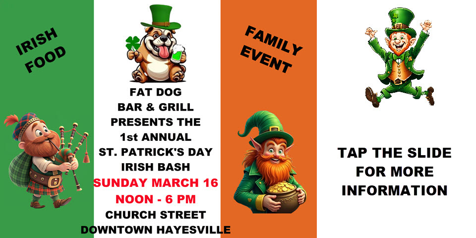 St. Patrick's Day Celebration by Fat Dog Sports Bay and Grill