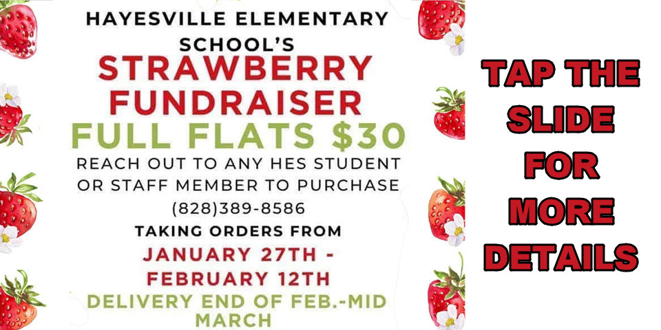 Hayesville Elementary Strawberry Fundraiser