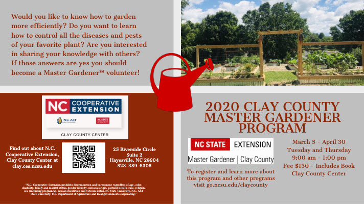 ClayCountyMGProgram2020