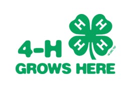 4H