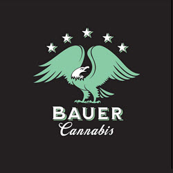 Bauer1.jpg